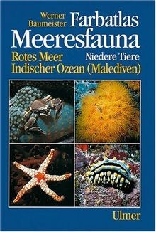 Farbatlas meeresfauna rotes - farbatlas, meeresfauna.