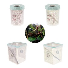 Terrarium Insektenbox Zuchtbox