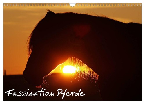 Faszination pferde - faszination,