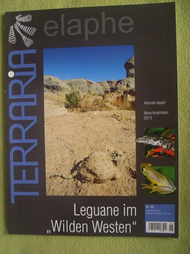 Terraria elaphe 46 leguane - elaphe, nr.
