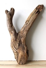 Treibholz Schwemmholz