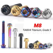 Titan Schrauben M8