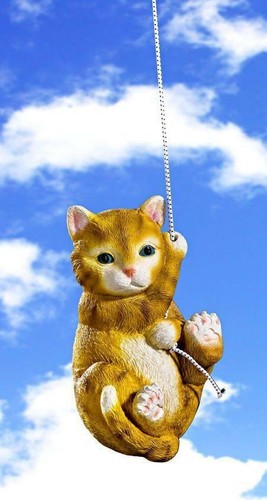Hängende schaukel katze - schaukel, /