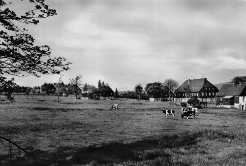Postkarte carlsfeld ortsteil - postkarte,