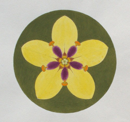 Fritz berger blütenornament - fritz,