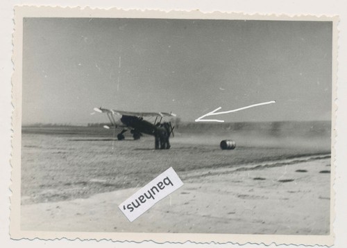Foto legion condor - foto,