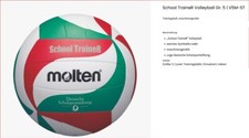 Molten Volleyball School