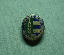 DDR Abzeichen - FDJ -