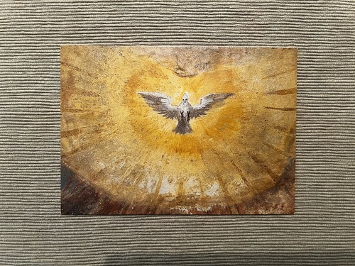 Postkarte taube - 1, postkarte,