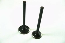 Pit Bike Dirt Bike Monkey