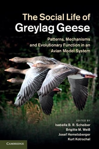 The social life greylag - social,