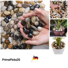 Polierte Flusskiesel 0,95kg