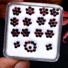 100 Stück Natürlich Mosambik