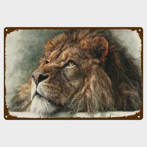 Blechschild männlicher löwe - männlicher,