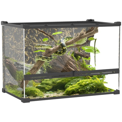 Terrarium für reptilien - terrarium,