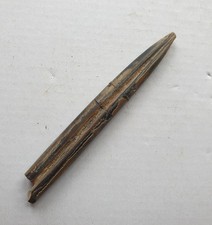 Belemnopsis depressa -