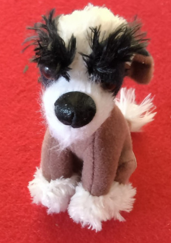 The dog pudel - dog,