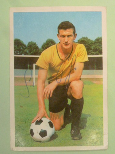 Gerd peehs 2024 borussia - gerd,