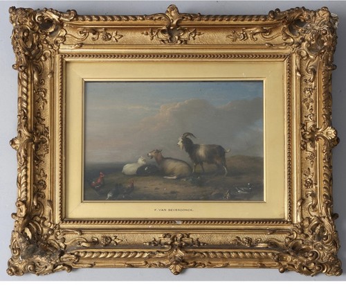 Frans van severdonck ziegen - frans,