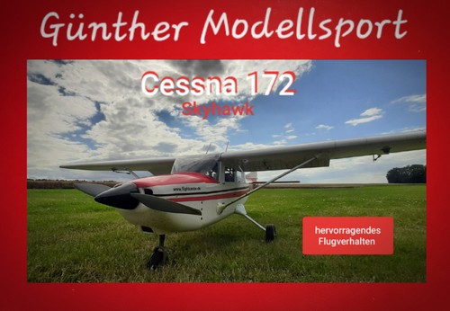 Pichler model cessna - model,