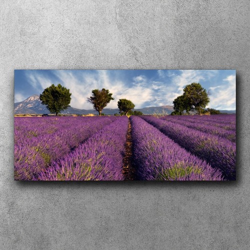 Canvas bild leinwand bilder - bild,