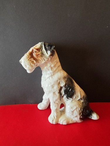 Hund foxterrier mehrfarbig - hund,,