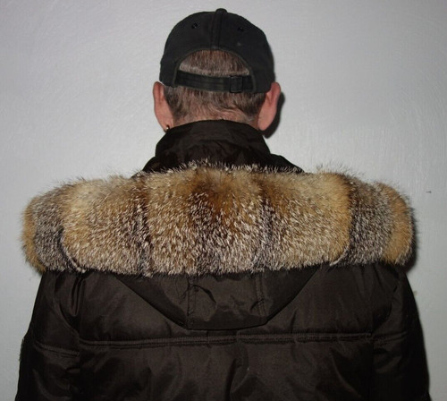 Fuchs pelz kapuze kragen - fuchs,