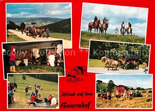 Boehmzwiesel niederbayern - boehmzwiesel,