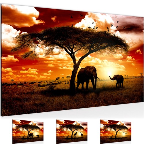 Wandbilder wohnzimmer afrika - wandbilder,