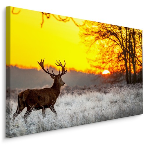 Canvas leinwand bilder - canvas,