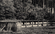 122/309 AK LÜNEBURGER HEIDE BIENEN BIENENSTAND