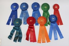 9 Abzeichen NCRS National