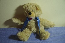 Medi Teddy Steiff Knopf im Ohr