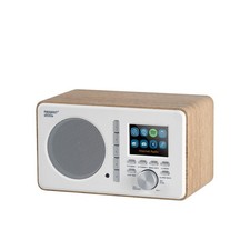 Ferguson Regent i200s