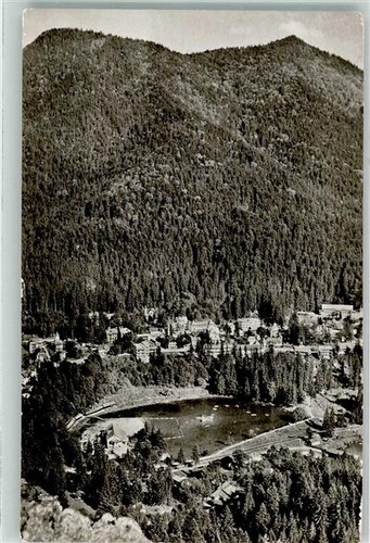 39538702 tusnad - 39538702,
