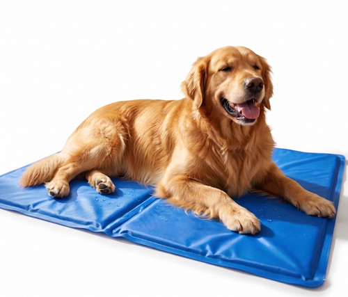 Kandonex kühlmatte hund - kühlmatte,