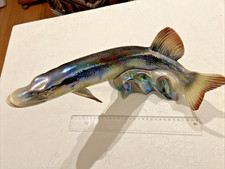 Jema Holland 344 Fisch Hecht