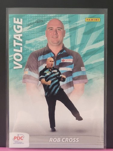 Panini pdc 2025 world - panini,