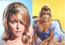 SHARON  TATE  IN  CA.  13  X  18    -    4   MAL  !!!