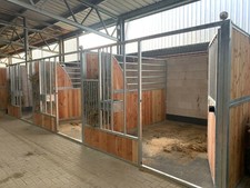 Vorderfront MoraFW11 Pferdebox