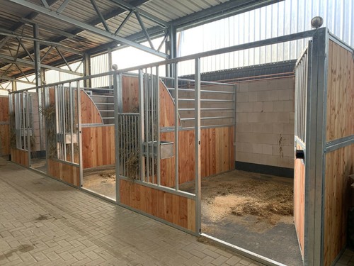 Vorderfront morafw11 pferdebox - vorderfront,
