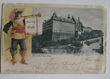 AK Altenburg - Schloss - 1900