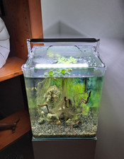 Chihiros LED Serie A II 301