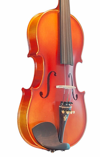 Akustische violine 4 - akustische,