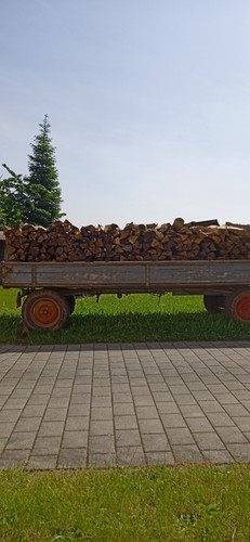Brennholz buche - brennholz, rm