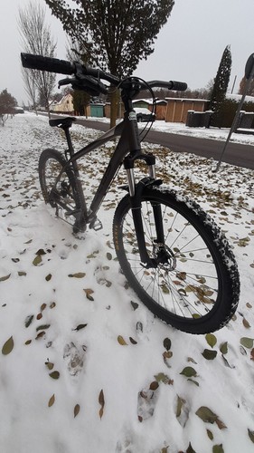 Focus whistler es - ,