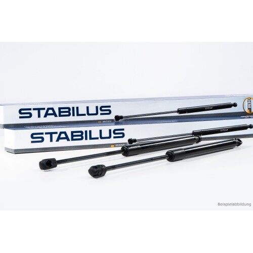 Gasfeder koffer laderaum - 2x, koffer-/laderaum
