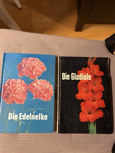 Dieter stöhr die - dieter, „die