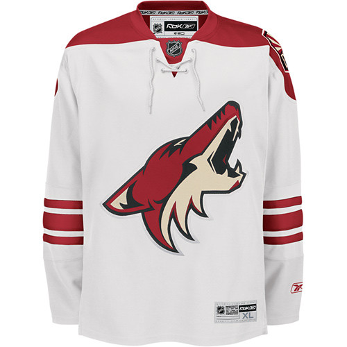 Nhl eishockey trikot jersey - nhl,