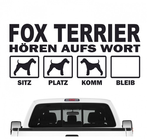 Foxterrier foxie fox terrier - fox,